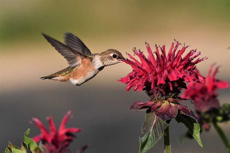 Präsentieren-auf-baubook.jpg