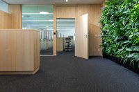 Kugelgarn® Resista® Cosmic